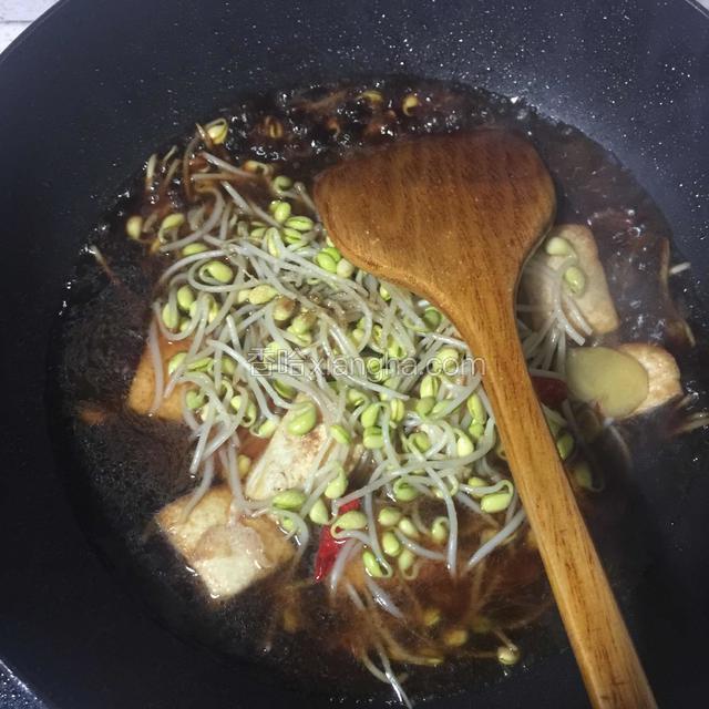 加老抽、盐、糖、加清水，清水和豆芽持平，开大火煮开几次转小火接着慢煮到收汁
