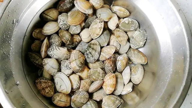 花蛤淡盐水浸泡几小时，中间多换几次水吐尽泥沙。