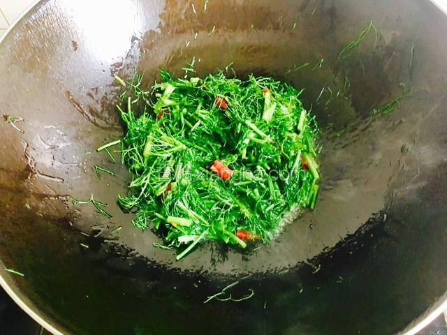 把茴香放进锅里开大火炒至断生。