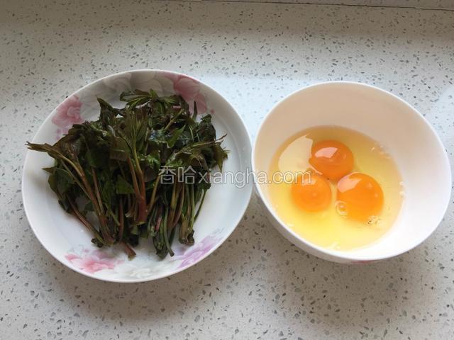 首先准备食材：香椿冲洗干净，鸡蛋磕到碗里。