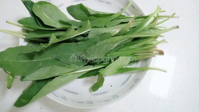 新鲜的蒲公英洗干净。