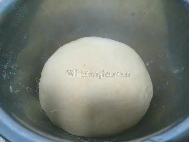 加入适量凉水、一点盐，和成一个稍硬的面团，醒面10分钟。