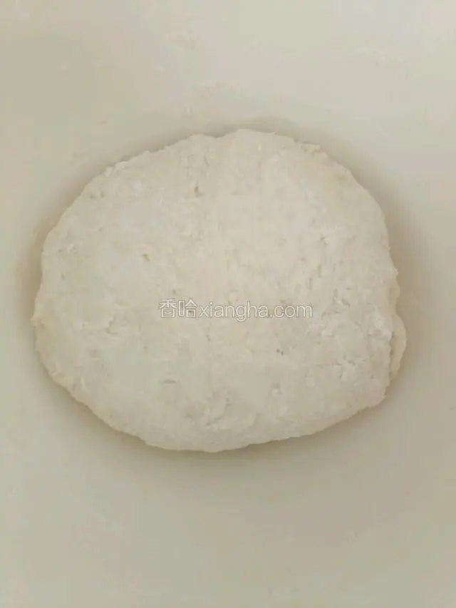 用温水活成面团，盖好盖子开始醒发！