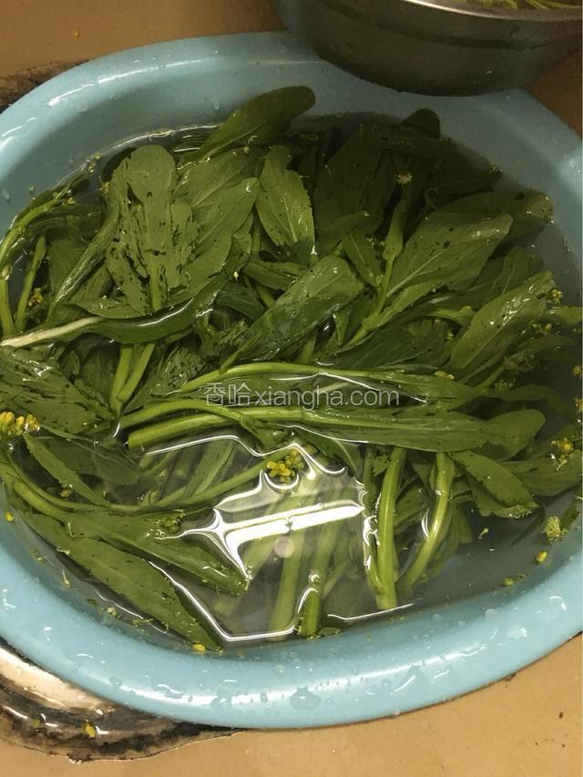 菜心洗净备用