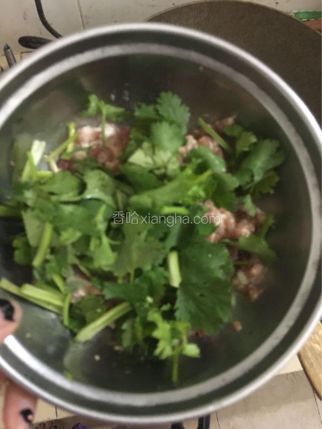 香菜切段拌入肉末中一起腌