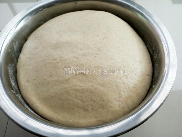 发酵至两倍大