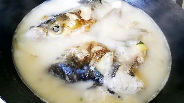 二十分钟后汤变成奶白色。