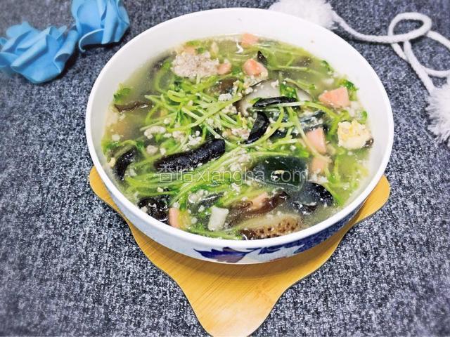 上汤豆苗