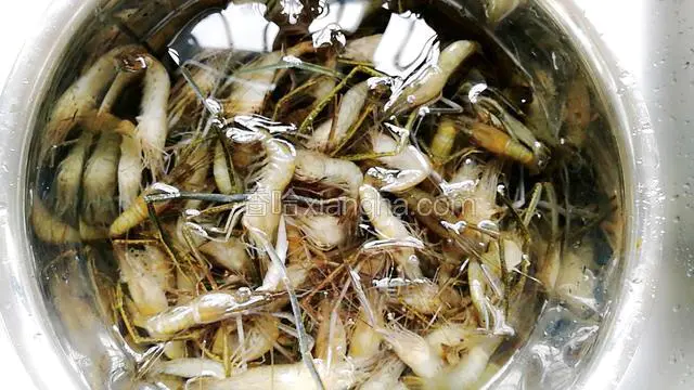 河虾清洗干净。
