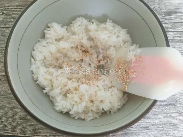 将热米饭中放入适量的香油和白芝麻拌匀放凉