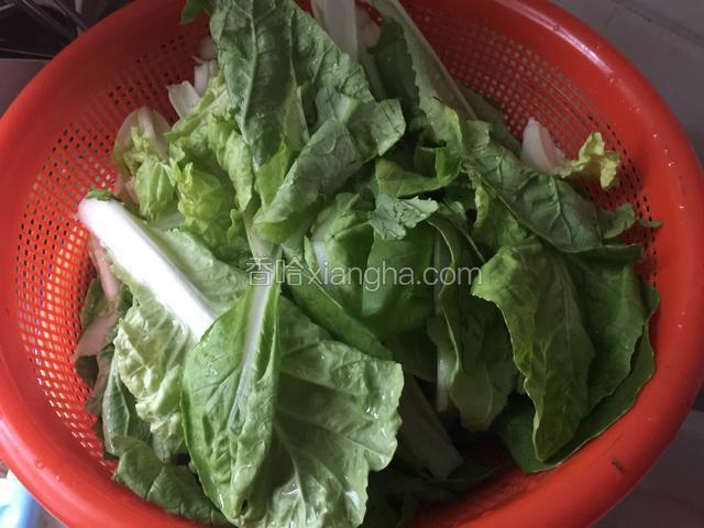 青菜清洗之后多泡一会.取出沥水备用