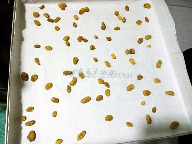 然后控水用厨房纸巾吸干水份。
烤盘上铺硅油纸，撒一部分葡萄干，待用。