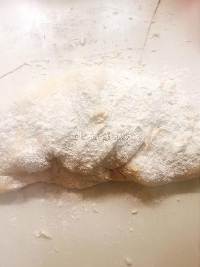 发到2到2.5倍大后拿出来排气，太粘了可以撒点干面粉揉匀