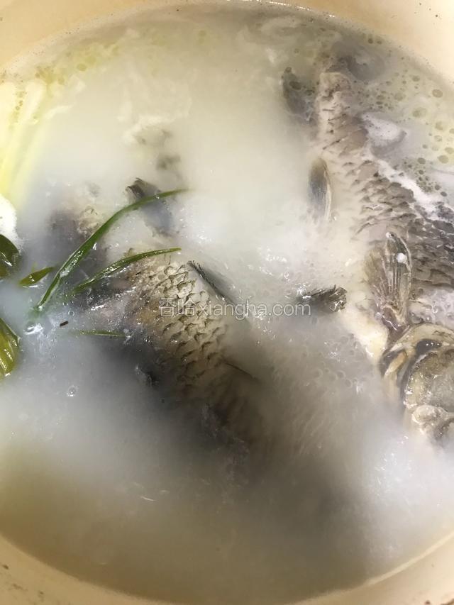 鲜香的鱼汤就熬好了，加入盐和少许白胡椒粉调味