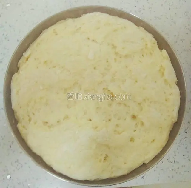 面醒好，开揉