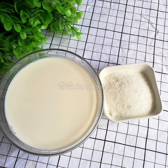 准备食材:全职牛奶250克、细砂糖50克