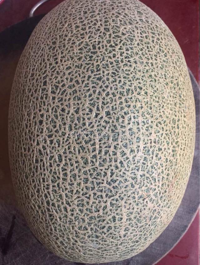 哈密瓜洗净待用