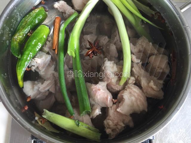 除盐外所有调料和羊肉一起下锅，添适量清水，大火烧开，水开后转小火煮一个小时。