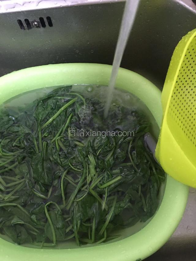 买回的菠菜摘洗干净后放水里泡三十分钟后，再焯一下水后放入凉水过凉。