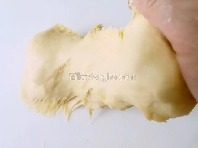 摔打至面团可拉出较粗糙的薄膜时。