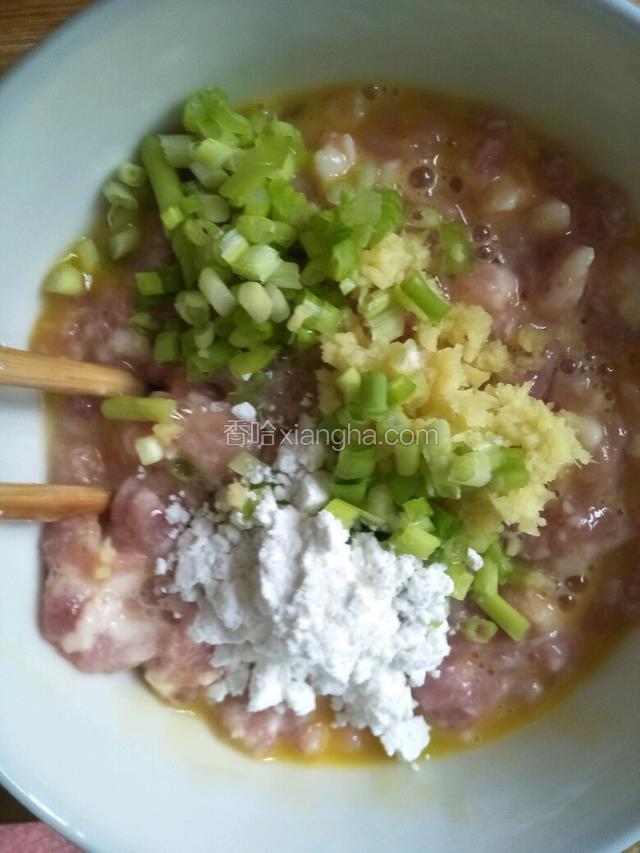 肉糜中加盐，葱，生姜，鸡蛋，淀粉搅拌均匀