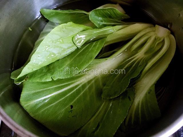 锅内烧开水烫熟油菜，捞出备用。