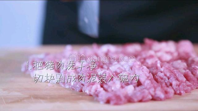 将食材都洗净备用，把猪肉洗干净，切块剁成肉泥装入一个大碗内。