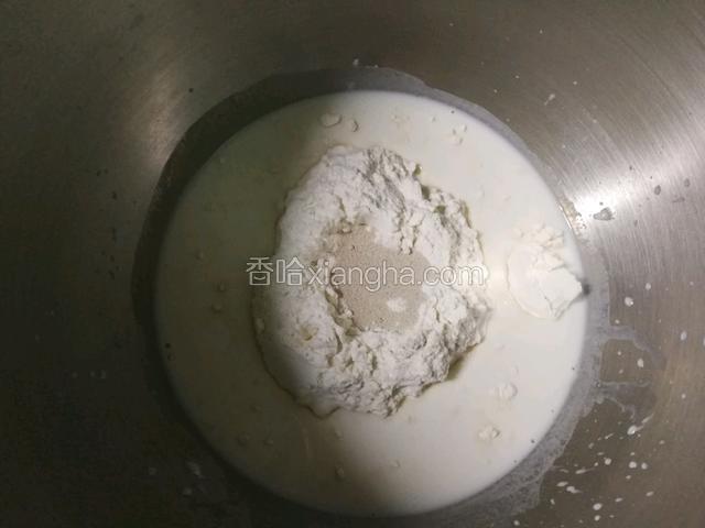 把中种材料放入厨师机面桶中，和面10分钟。