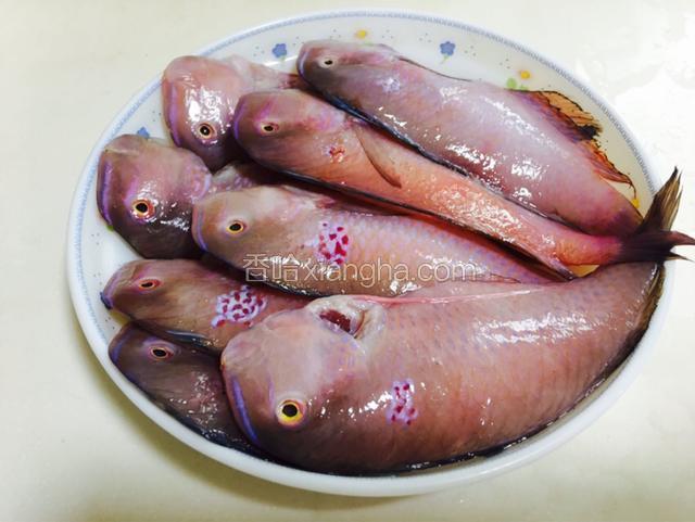 马头鱼去除内脏洗净