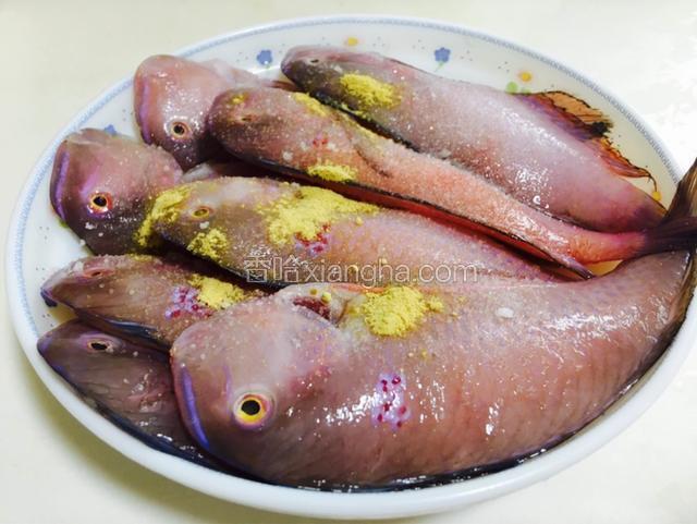放入姜粉抹匀鱼身腌制（没有姜粉用姜汁代替）