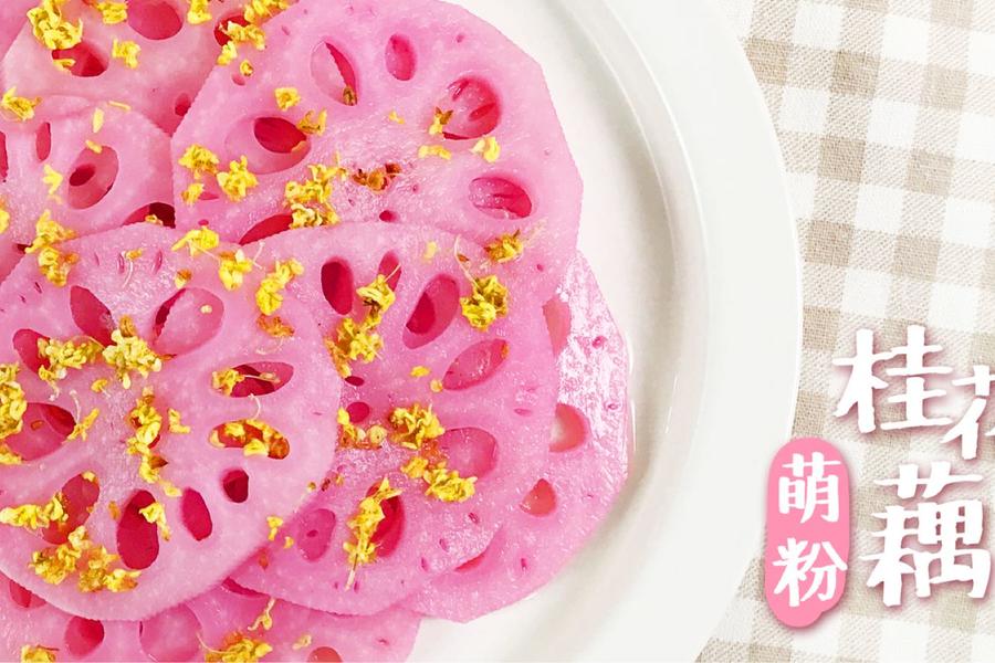 《宝餐一顿》藕也有颗公主心