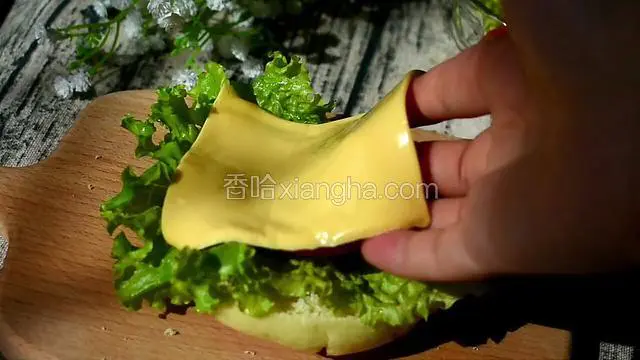 芝士片，可以根据你们喜好。沙拉酱也可以