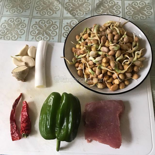 花生，肉，青椒，葱姜蒜，干红辣椒。
