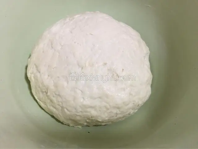 用温水将酵母化开，加入面粉和成面团放置室温发酵