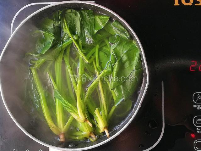 起锅煮水，水开菠菜入锅焯水30秒