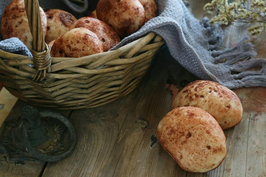 梦想当土豆的包子