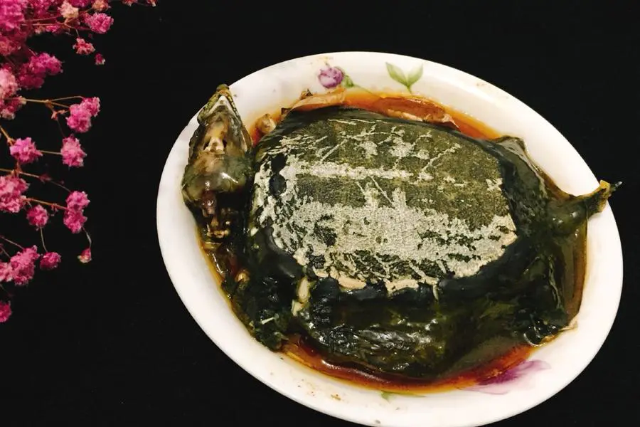 清炖甲鱼