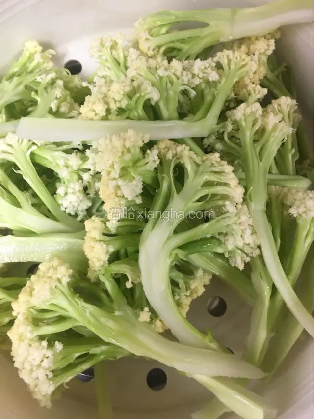花菜切小朵后洗净备用，这个花菜是婆婆家自己种的，绝无农药残留。如果是外面买的，建议大家还是提前用淀粉加盐浸泡1个小时。