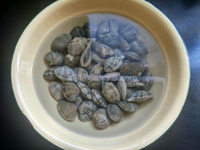准备好花甲，泡水，滴一滴小麻油，让花甲吐出泥沙，泡半小时。