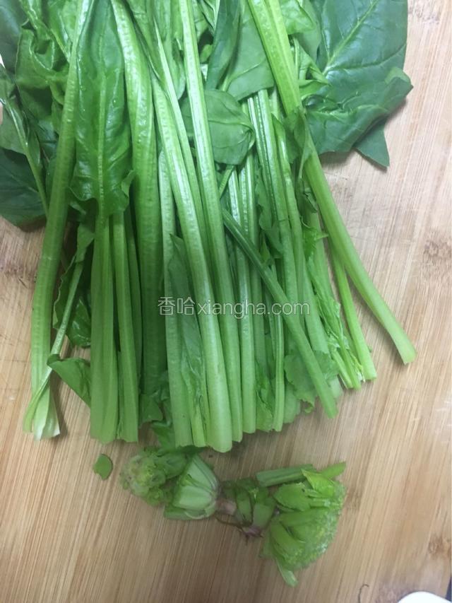 菠菜去老根