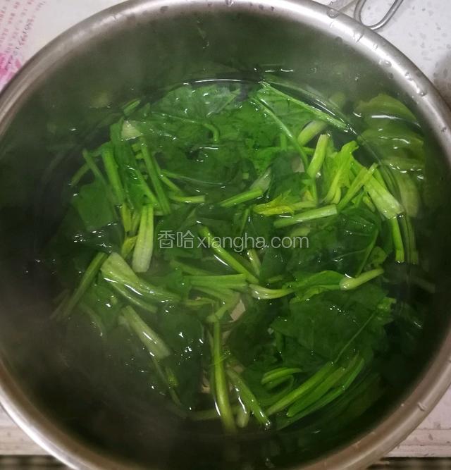 菠菜焯水投凉。