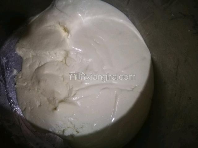 揉成姜汁面团。