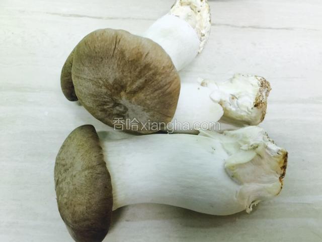 先准备三个新鲜的松茸菌菇，洗干净备用