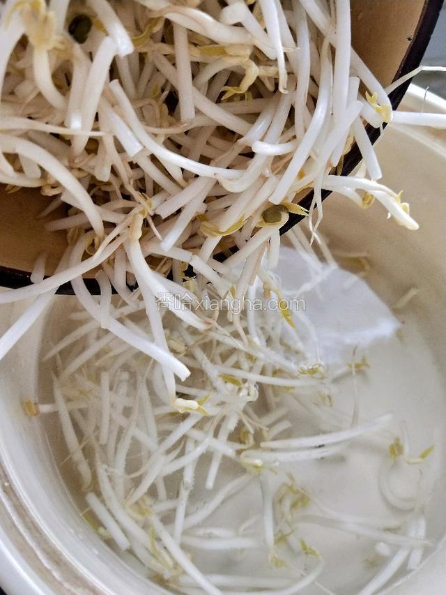 豆芽洗净焯水