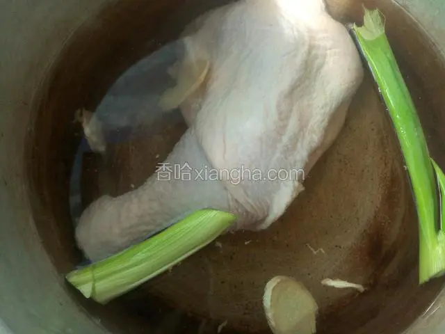 凉水下锅 放入葱姜去腥  大火煮开