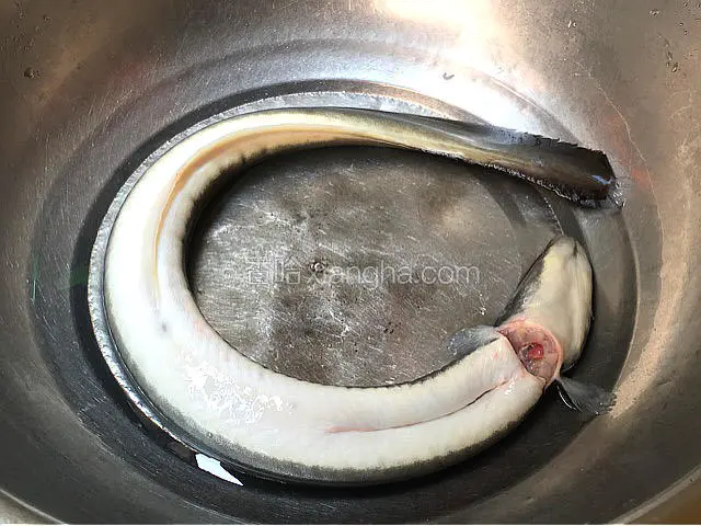 買了鮮活白鳝不會殺. 家人幫忙殺. 剖开清除內臟洗乾淨.