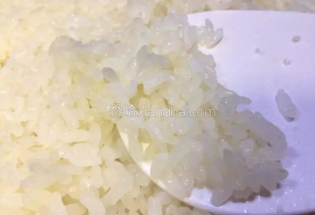 如图所示糯米蒸成这样糯米饭就蒸好了