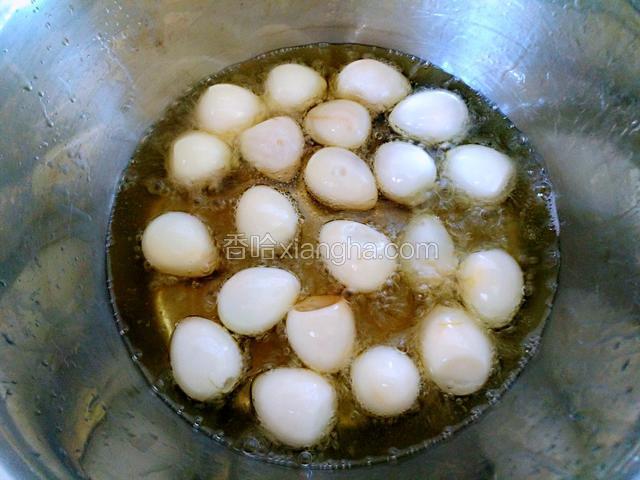 锅烧热，放入食用油，放入鹌鹑蛋