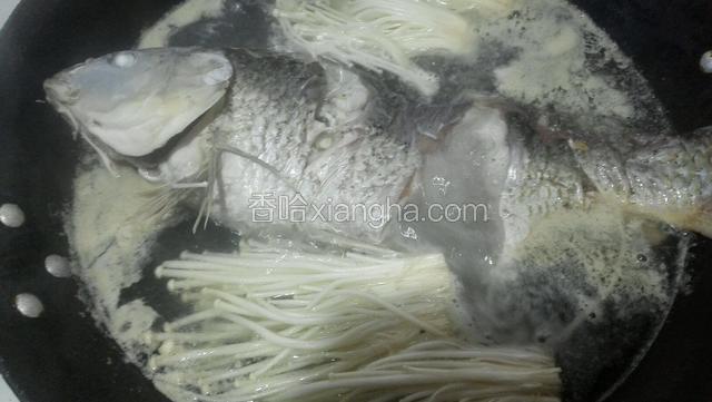 鱼腌十五分钟后，烧开水把鱼和金针菇一起下锅，金针菇煮熟后捞出，鱼再继续煮熟