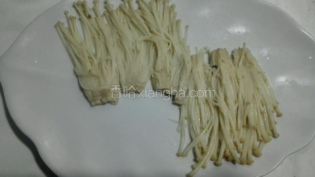 金针菇控净水铺盘底